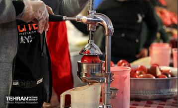 جشنواره انار تهران در گذر گردشگری پارک آب و آتش 2