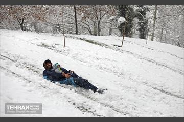 بارش برف در تهران 31