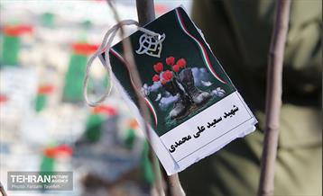 آیین کاشت 1310 نهال در منطقه 5 9