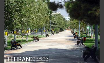 بوستان بسیج 17
