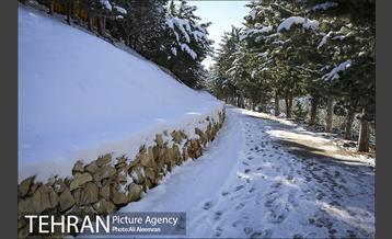 طبیعت برفی تلو 24