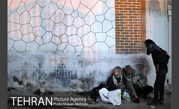 گرمخانه ها، دور از سرما 5