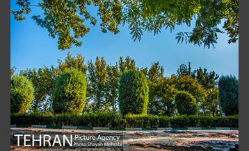 بوستان جنگلی چیتگر 10