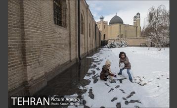 روز برفی در باغ موزه قصر‎ 24