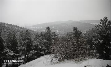 روز برفی تهران - 2 57