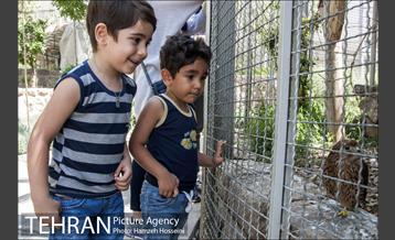 باغ پرندگان تهران 7