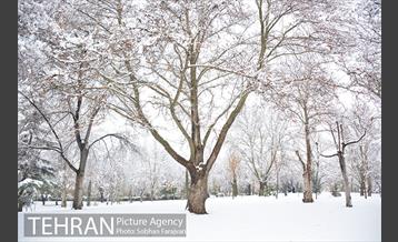 روز برفی تهران در بوستان ملت 18