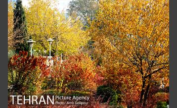 شهرک لاله 20