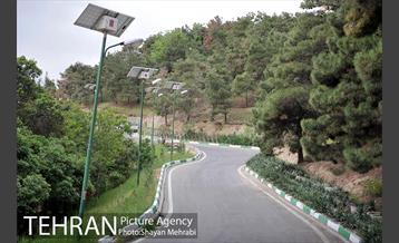 پارک جنگلی لویزان‎ 16