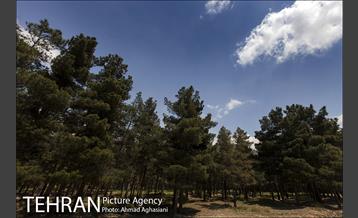 پارک سرخه حصار‎ 16