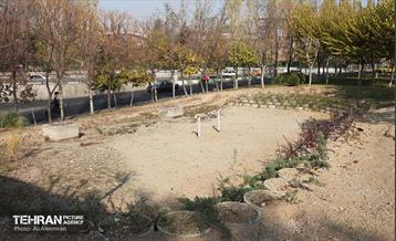 آماده سازی پروژه های عمرانی منطقه ۴