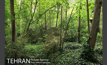 باغ گیاه‌شناسی ملی ایران 14