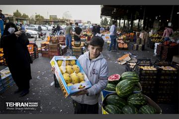 بازار میوه و تره بار مرکزی تهران در آستانه نوروز 40