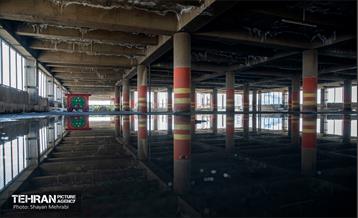 جای خالی پروانه ها 3