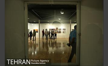 نمایش عکس «زیبایی در جنگ» 11