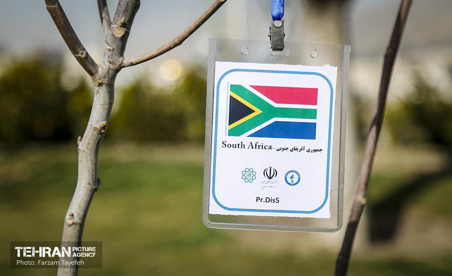 آیین درختکاری در منطقه‌5 35