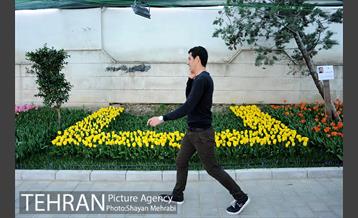 پیاده راه لاله مادران 18