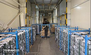 بازدید اصحاب رسانه از زنجیره تامین محصولات مصرفی ماه رمضان و میوه شب عید 49