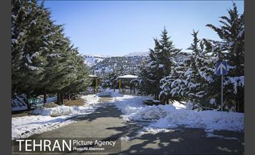 طبیعت برفی تلو 8