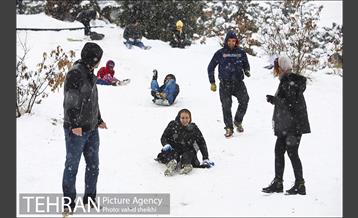 تفریحات برفی در پارک پردیسان تهران 14