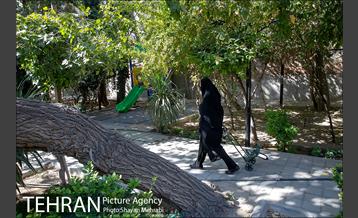 بوستان هورفر 11