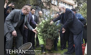 آیین کاشت " درخت فرهنگ و هنر و رسانه"  29