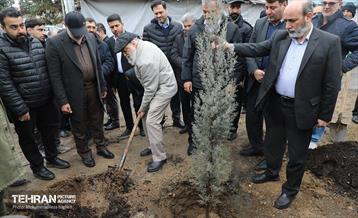 آغاز کاشت ۲۵ هزار اصله نهال غیرمثمر در بوستان چیتگر 24