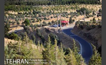 بوستان جنگلی لتمال کن 12