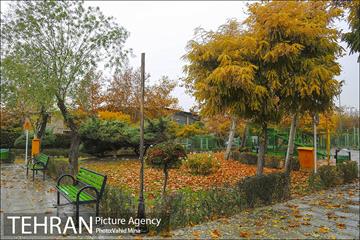 پاییز در بوستان رازی 21