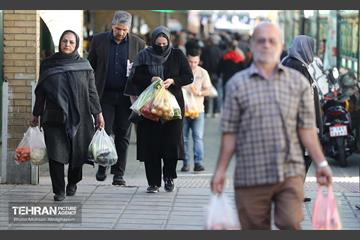 تره‌بار یلدایی 12