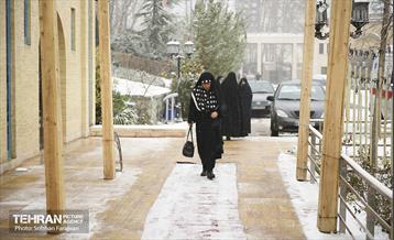 جشن «عطر ریحان» 1