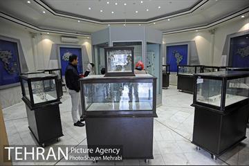 موزه طبیعت و حیات وحش دارآباد تهران 22