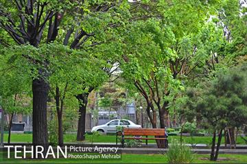 باران بهاری در تهران - 2 7