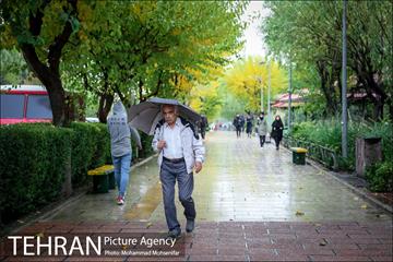 بارش باران پاییزی در تهران 10
