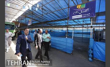 بازدید سعید راد از مراکز عرضه دام  9