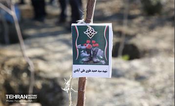 آیین کاشت 1310 نهال در منطقه 5 14