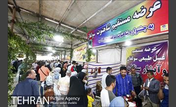 جشنواره شاتوت و محصولات محلی دهستان سولقان 3