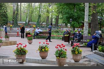 تور عکاسی از باغ ایرانی 27