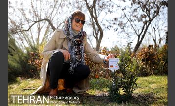 آیین کاشت نهال دوستی با حضور همسران دیپلمات مقیم ایران 28