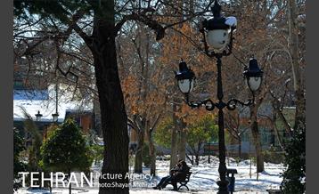 فصل زمستان در بوستان ملت 6