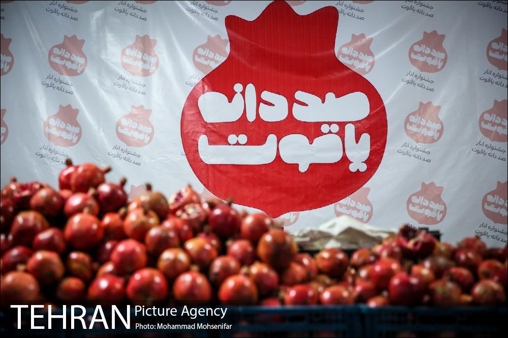 افتتاح جشنواره صد دانه یاقوت 10