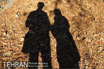 بوستان پلیس 14