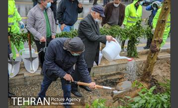 آئین کاشت درخت زندگی 27
