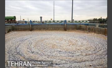 بازدید کارگروه رفع بوی نامطبوع تهران از مجتمع آرادکوه 14