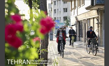 پویش سه شنبه های بدون خودرو در منطقه 8