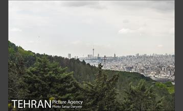 بوستان جنگلی لویزان 7