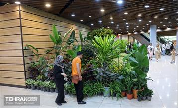 بیستمین نمایشگاه بین‌المللی گل و گیاه 21