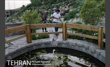 عصر تابستانی در بوستان آبشار تهران 5