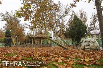 پاییز در بوستان رازی 4