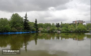 بارش باران بهاری در تهران - 2 34